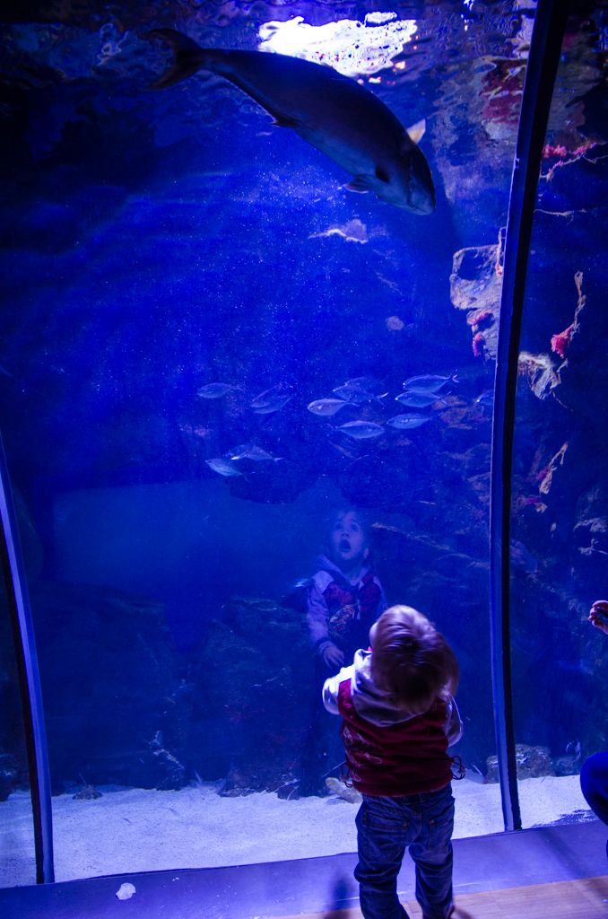 Acquario Civico Milano