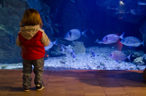 Acquario Civico Milano