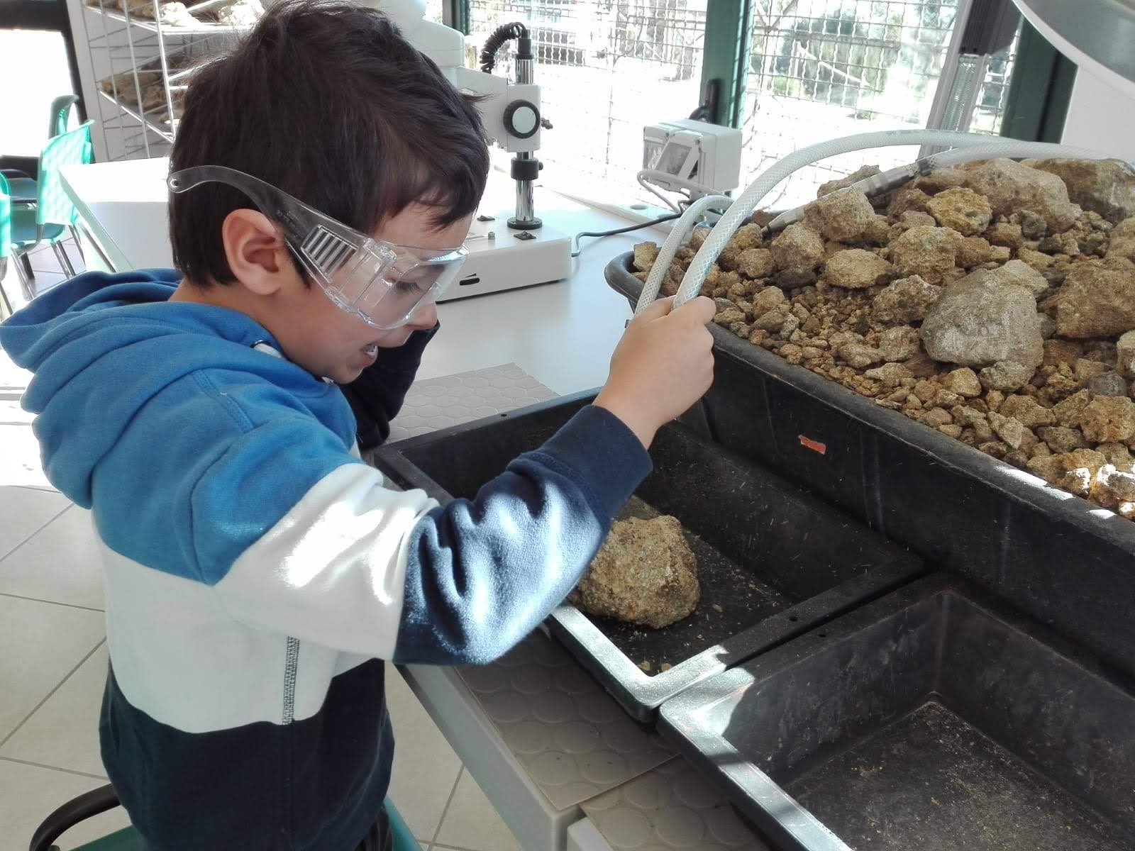 Laboratorio Parc Museo del cavallino della Giara