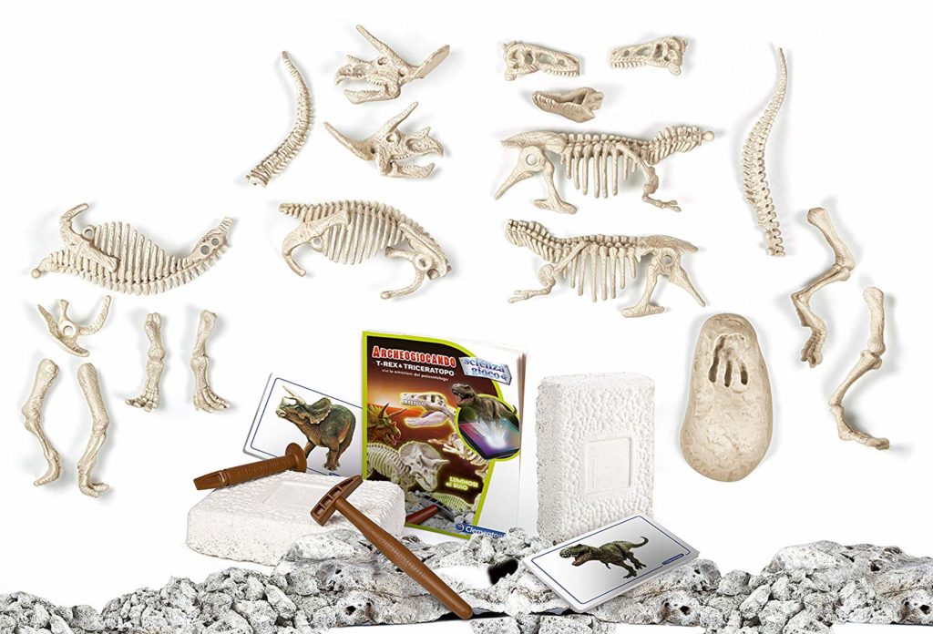 kit-paleontologo