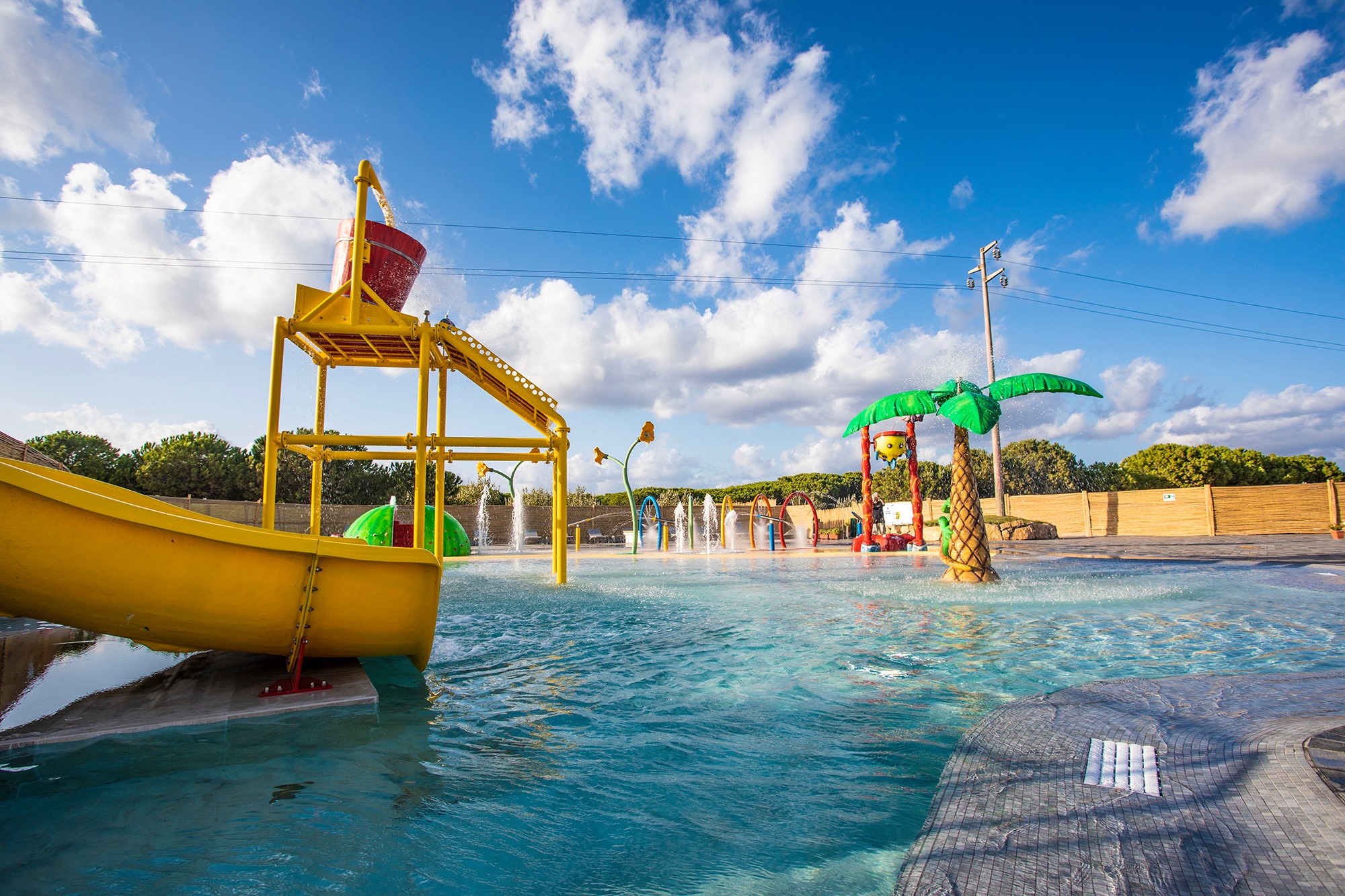 tortuga-sardegna-piscina